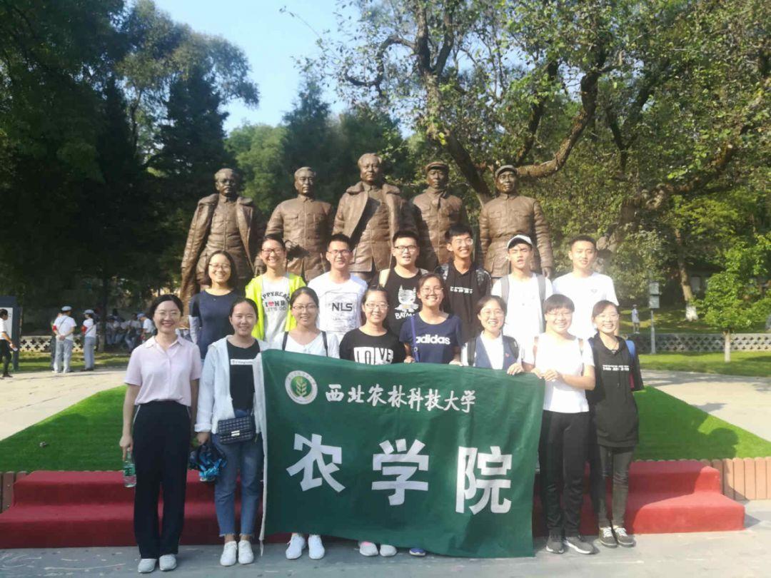 标致汽车找钥匙